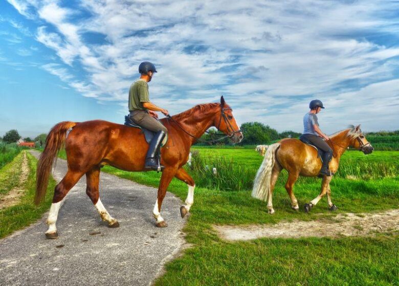 Riding with Confidence: Mastering Horseback Skills Today!