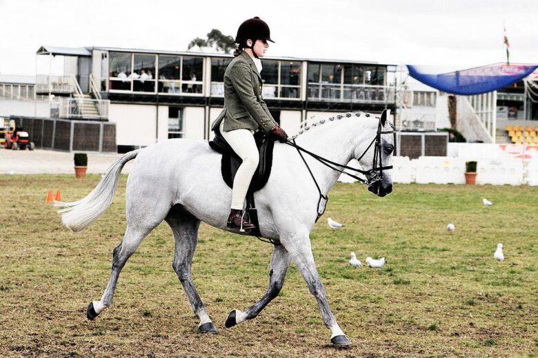 Elevate Your Equestrian Skills: Mastering Horseback Riding!