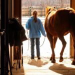 Mastering Horse Care: A Comprehensive Guide
